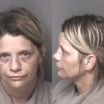 Toscha Winstead Resist Public Officer Larceny