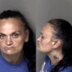 Jessica Bridges Possess Methamphetamine Possess Drug Paraphernalia