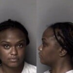 Camisha Burns Larceny Misdemeanor
