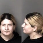 Elizabeth Drosinis Larceny Misdemeanor Conspiracy