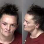 Elizabeth Whitley Assault Simple