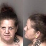 Lori Bright Trespass 1st Degree