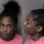 Tobika Osborne Assault Simple