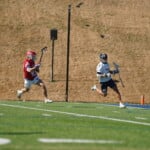 Wingate Vs Leniorrhyne Mlax