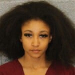 Anjil Lane Felony Possession Hit And Run