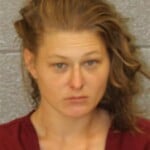 Hayley Purvis Local Ordinance