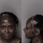 Cathryn Tate Misuse 911 Telephone System