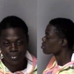 Brittany Spikes Breakenter Motor Vehicle