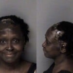 Katherine Tate Sch Ii Possess Resist Public Officer Telephone Misuse Of 911 System Police Report False