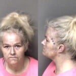 Crystal Medlin Larceny Misdemeanor