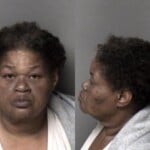 Selissa Murray Assault Simple