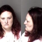 Jusena Grant Misd Crime Of Dom Violence