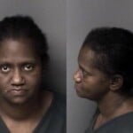 Sherria Jackson Habeas Corpus Larceny