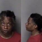 Heather Quinn Impede Traffic Sit Stand Lie