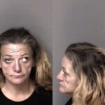 Wendy Vincent Possess Cocaine Possess Drug Paraphernalia