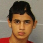 Ronny Briones Melgara Larceny Of Motor Vehicle Possess Stolen Motor Vehicle Conspiracy