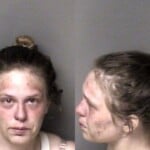 Brianna Dodge Failure To Appear Misdemeanor Unauthorized Use Of Motor Vehicle