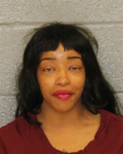 Brittany Gibson Resist Public Officer Carry Concealed Weapon Injury To Personal Property