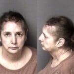 Kelly Bazzle Assault Simple