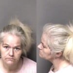 Crystal Medlin Larceny Misdemeanor