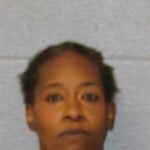 Tiffany Nixon Breaking And Entering To Terrorize Injure Assault On Government Official Resist Public Officer