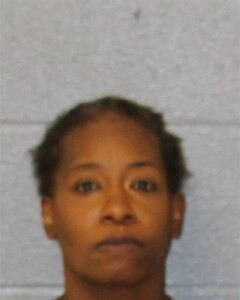 Tiffany Nixon Breaking And Entering To Terrorize Injure Assault On Government Official Resist Public Officer