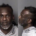 Steven Streeter Misd Crime Of Dom Violence Awdw