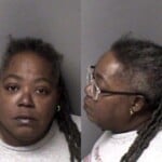 Monica Hopper Driving While Impaired Child Abuse