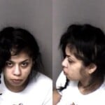 Sarah Ali Possess Drug Paraphernalia Resist Public Officer