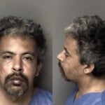 Buckeeus Sadler Dwlr Not Impaired Rev Reckless Driving Wanton Disregard Registration Platecard Expired Drive Left Of Center