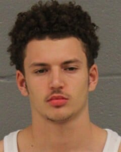 Ethan Teague Assault On Government Official Resist Public Officer
