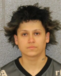 William Alfaro Possess Cocaine Simple Affray Probation Violation