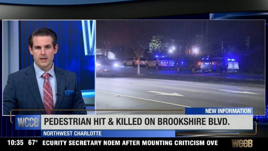 Pedestrian Hit, Killed