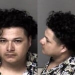 Luis Cardona Arana Firearm Discharge Into Occupied Property Possess Stolen Firearm Discharge Firearm In City Immigration