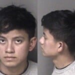 Jose Suazotomas Trespass 2nd Degree