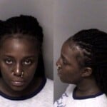 Lakesha Suswell Misd Crime Of Dom Violence