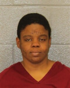 Quantie Elliott Resisting Public Officer Second Degree Trespass