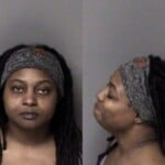 Shannon Faulkner Driving While Impaired Open Container After Consuming Alcohol