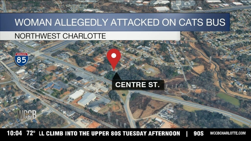 Woman Allegedly Attacked On Cats Bus
