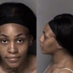 Taleia Bush Larceny Conspiracy