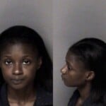 Assata Diop Misd Crime Of Dom Violence