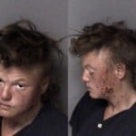 Krista Hawkins Litter 15 Pounds