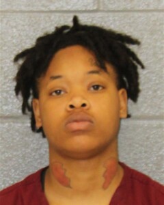 Tanija Hackett Resisting Public Officer Simple Affray Carrying Concealed Weapon Gun Possess Stolen Firearm Resisting Public Officer