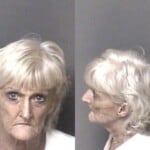 Susan Conner Possess Drug Paraphernalia