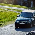 Abandoned Puppies Pic 5