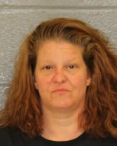 Ashleigh Hillman Flee Elude Arrest With Motor Vehicle Resist Public Officer Possess Stolen Motor Vehicle