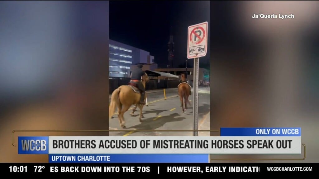 Brothers Accused Of Mistreating Horses Speak Out