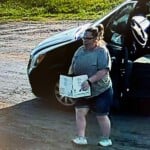 Abandoned Puppies Pic 2