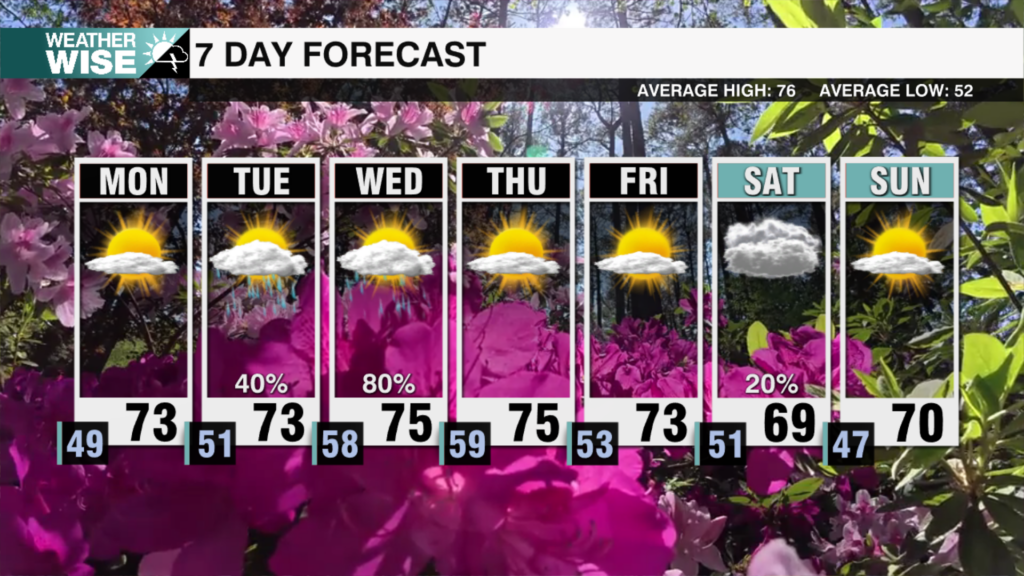 7 Day Weekends 2025 58