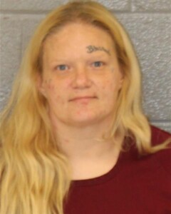 Carolyn Loftis Possession Of Meth Felony Possession